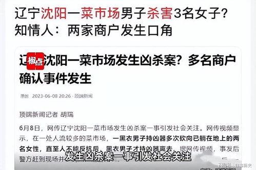 辽宁最新爆料事件新闻,揭秘事件背后惊人真相